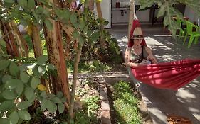 Flying Monkey Hostel